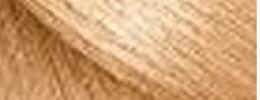 05 Light Blond