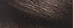 09 Dark Brown
