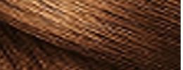 10 Chestnut