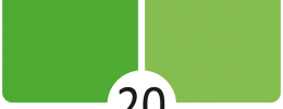 20 Aloe Vera