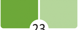 23 Kiwi