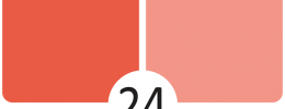 24 Liči