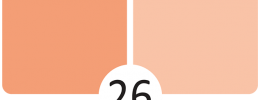 26 Skořice