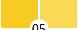 05 Slunečnice