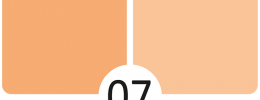 07 Meruňka