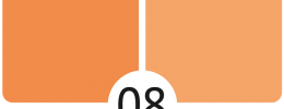 08 Mandarinka