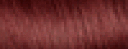 2.6 - Raspberry Black