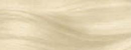 Vzorník barev Schwarzkopf GLISS Color - 10-2 PRIROZENÁ CHLADNÁ BLOND
