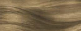 Vzorník barev Schwarzkopf GLISS Color - 8-0 PRIROZENÁ BLOND