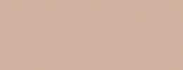 Vzorník barev Sokrates Brusný tmel na dřevo - brusná pasta - smrk