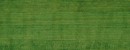 Vzorkovník farieb Klumpp Hard Wax Oil olej-voskový prostředek na dřevo - myrtle green 112