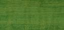 myrtle green 112